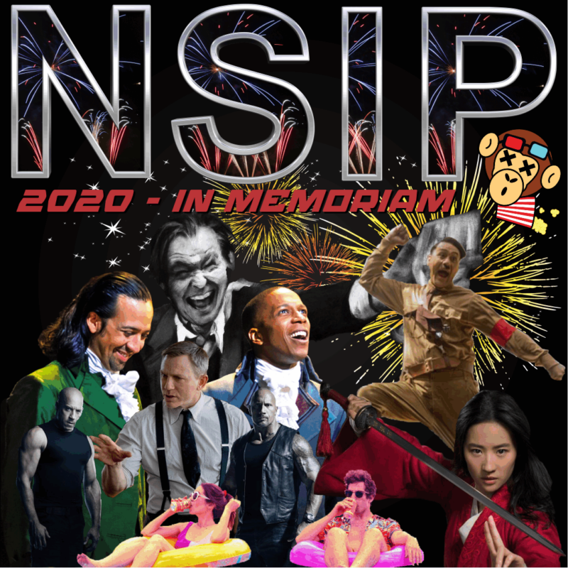 NSIP 2020 YEAR IN REVIEW
